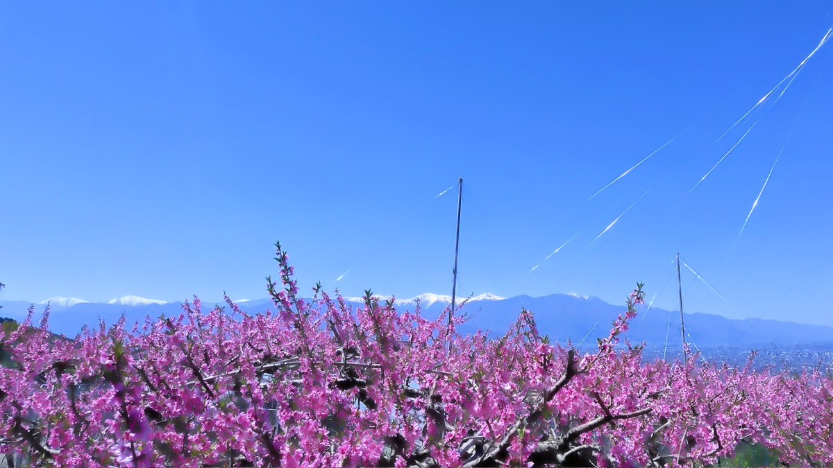 らきあ🍜ლ(´ڡ`ლ) tweet media