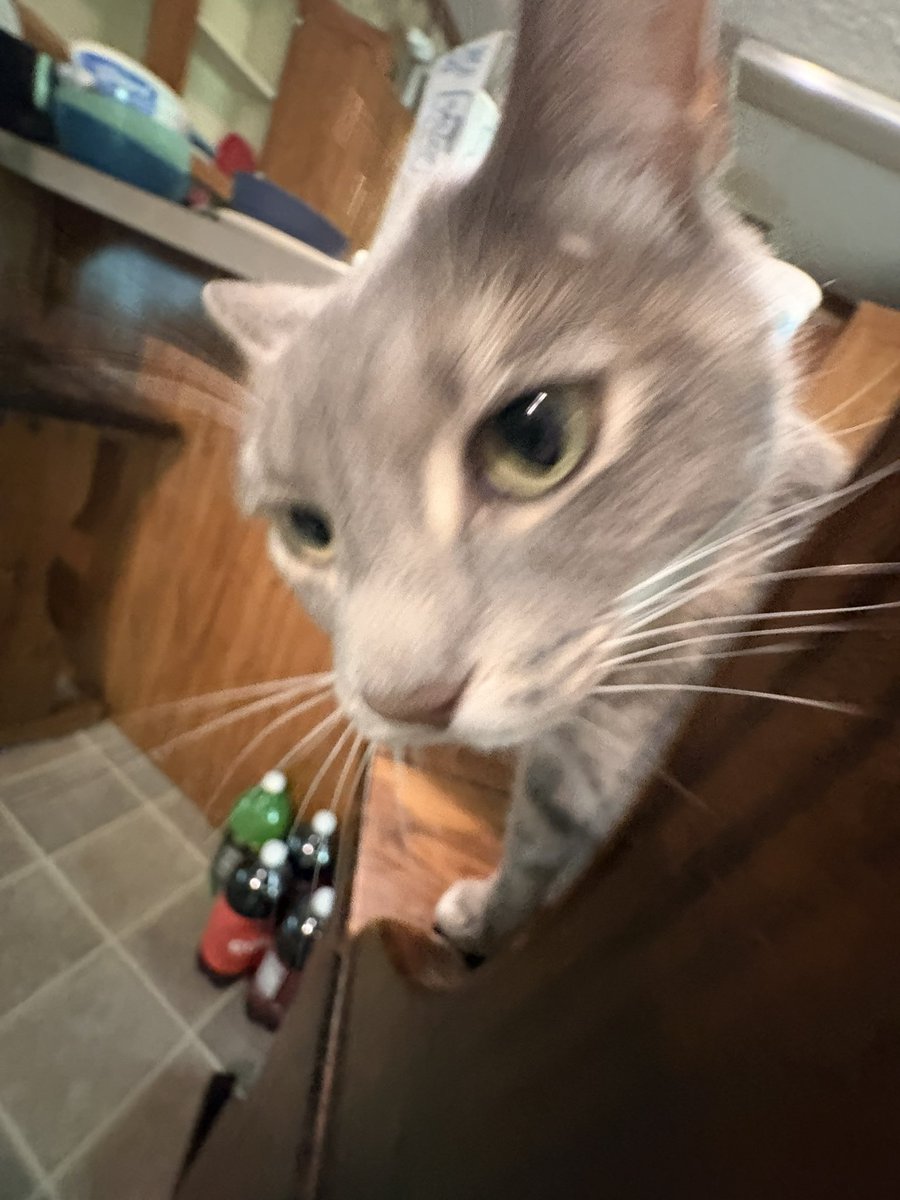 🍓🥛||ｱんﾉ||🍌🐟 tweet media