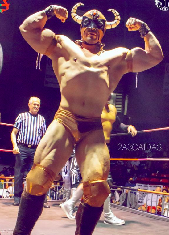 Beefcakes of Wrestling tweet media