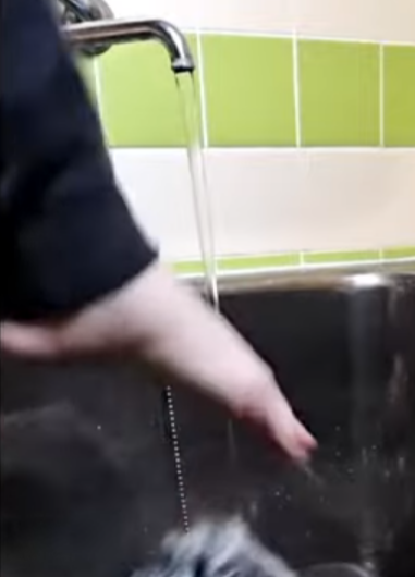 MisterCum2🐮⚗ tweet media