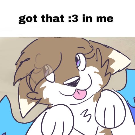 ❄️Snow💜 Sephiroth’s Puppy ✨ tweet media