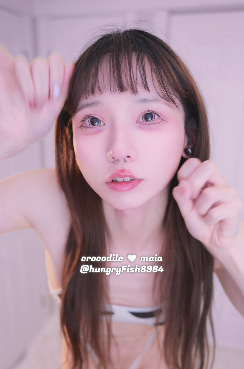 crocodile 🤗 maia tweet media