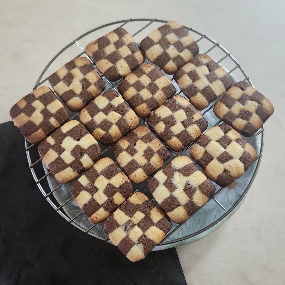 쌀도마뱀 tweet media