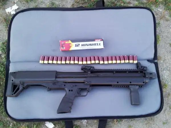 FrankCandid tweet media