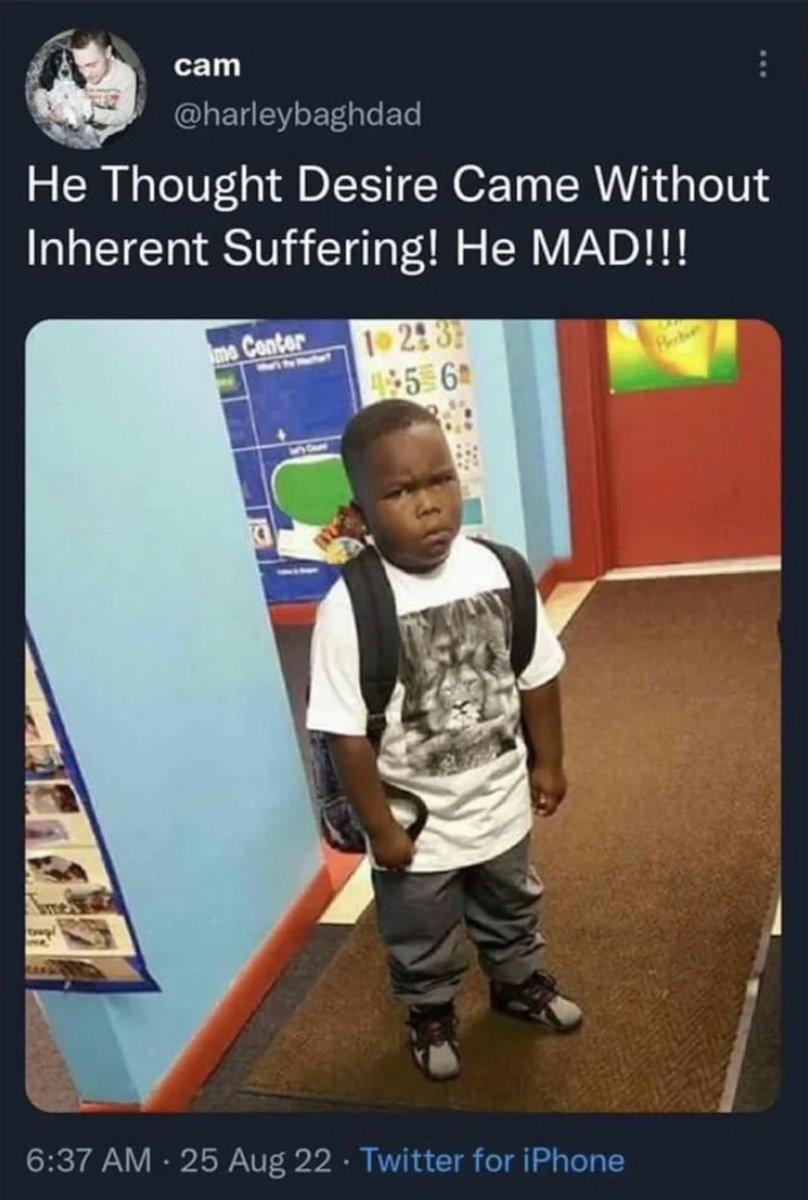 ghoulia yelps of edtwt tweet media