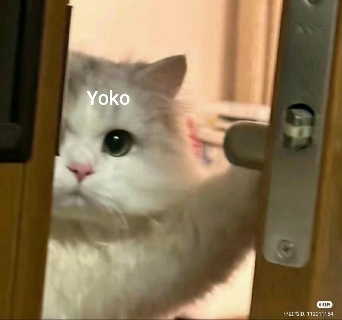 星辰👻 tweet media