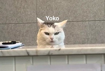 星辰👻 tweet media