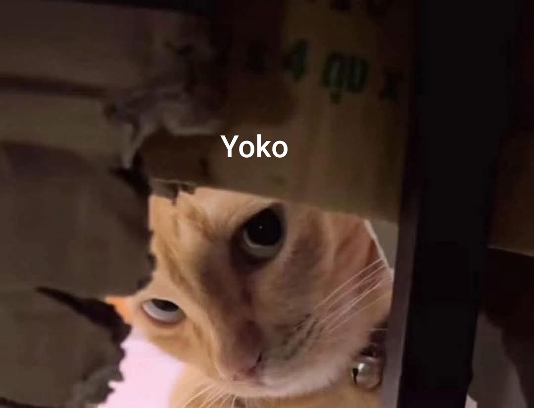 星辰👻 tweet media