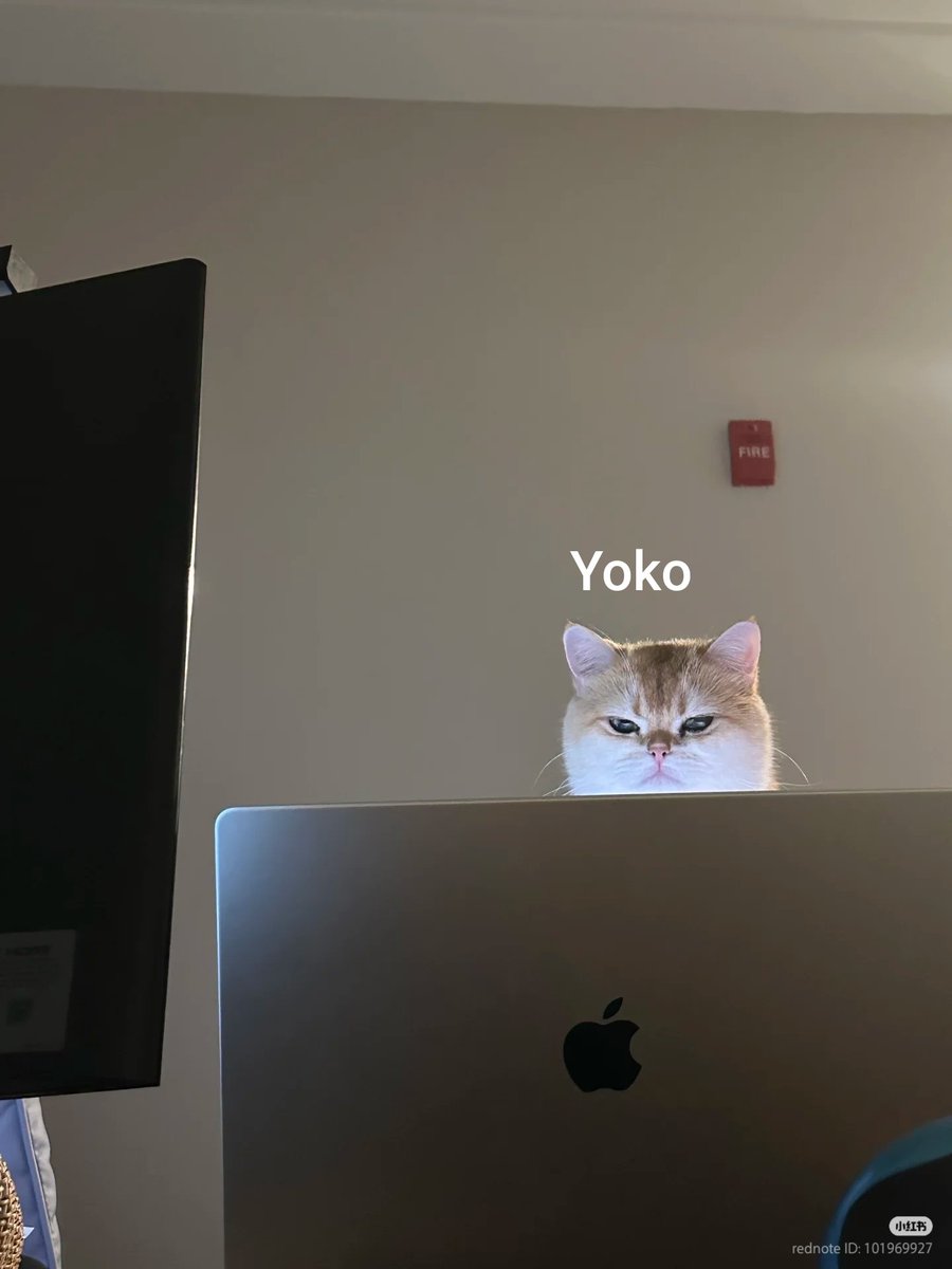 星辰👻 tweet media