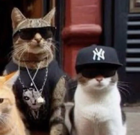 drew ⋆˚࿔ tweet media