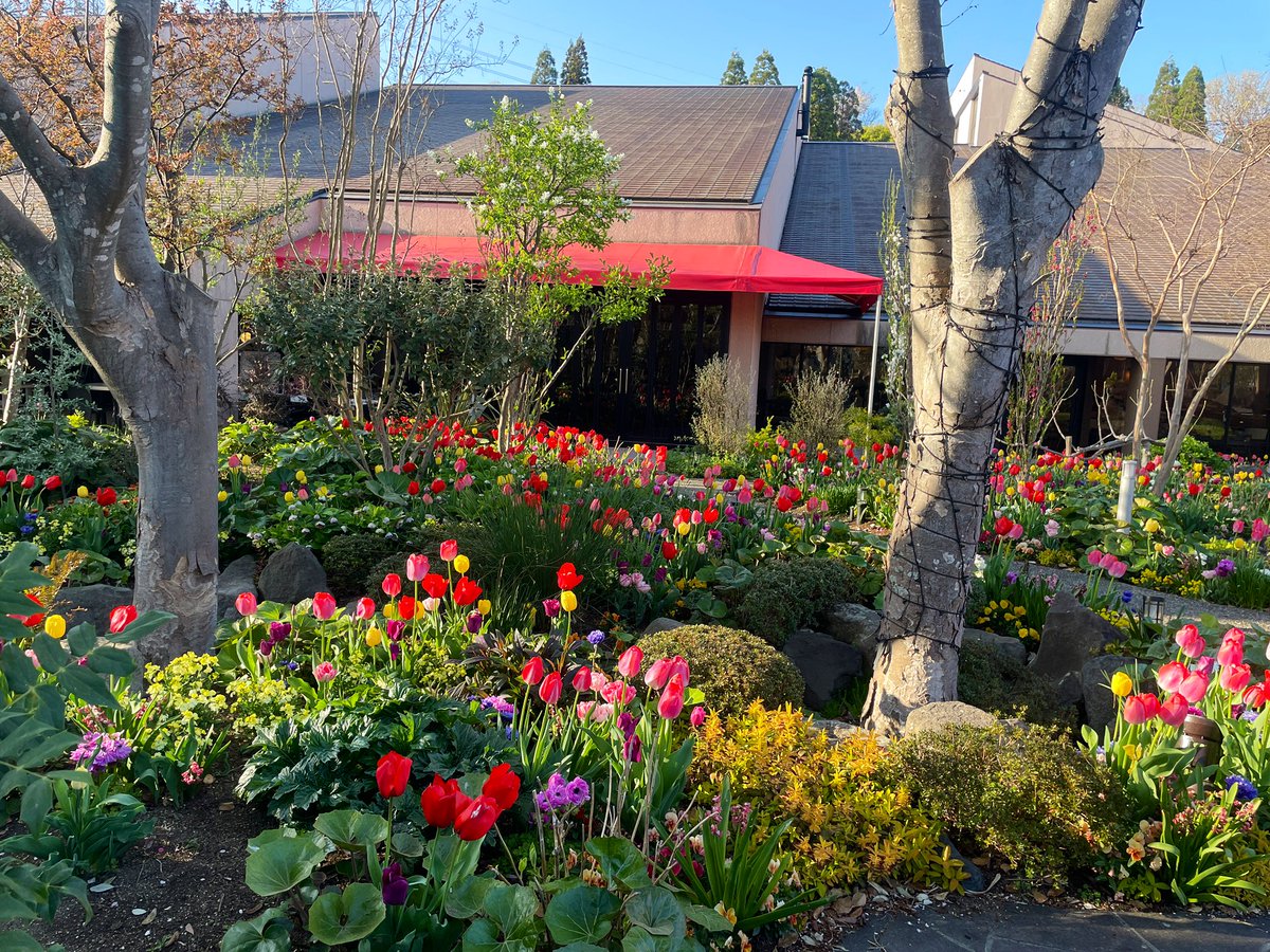 山根夢咲 tweet media