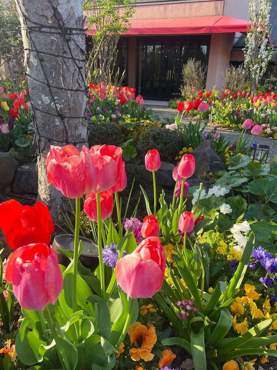 山根夢咲 tweet media