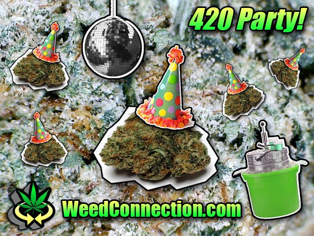 WeedConnect's tweet image. ViP OG Reservations #Party #Sesh @_WeedConnection 🌴🎉