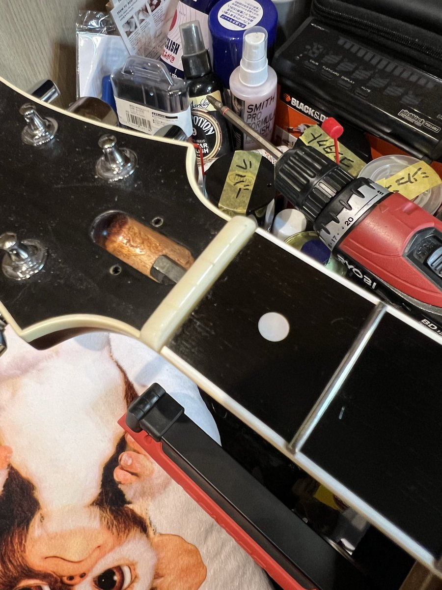 長嶋朋希 Tomoki Nagashima tweet media