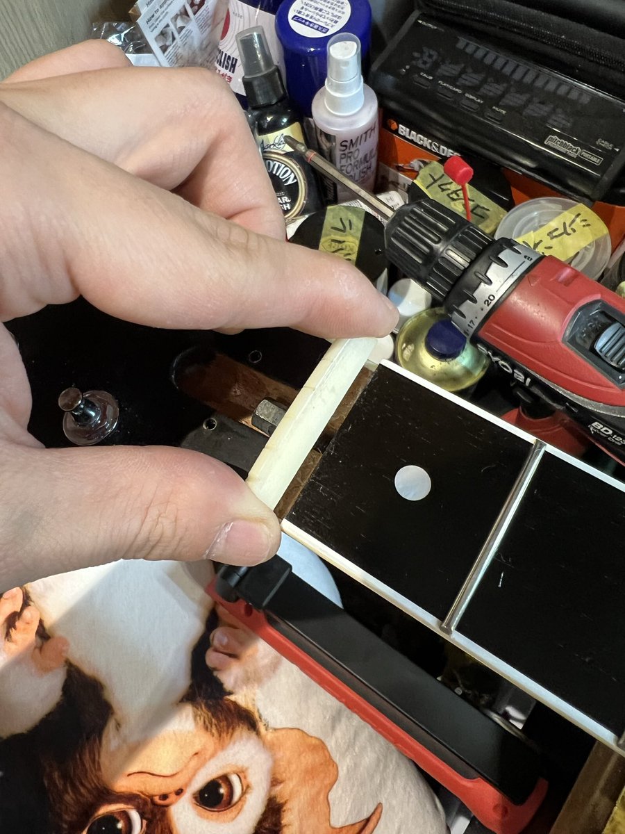 長嶋朋希 Tomoki Nagashima tweet media