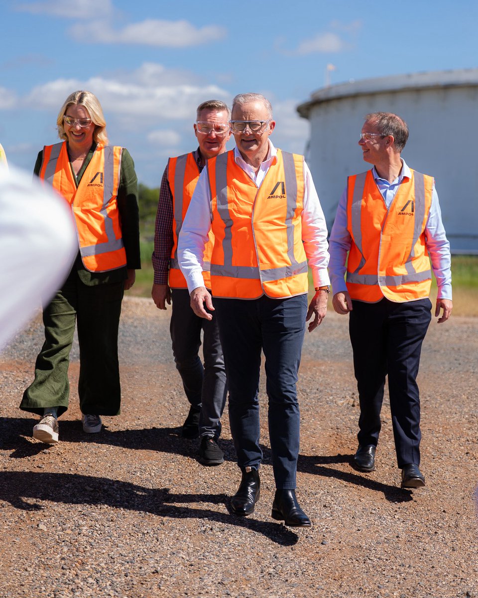 Anthony Albanese tweet media