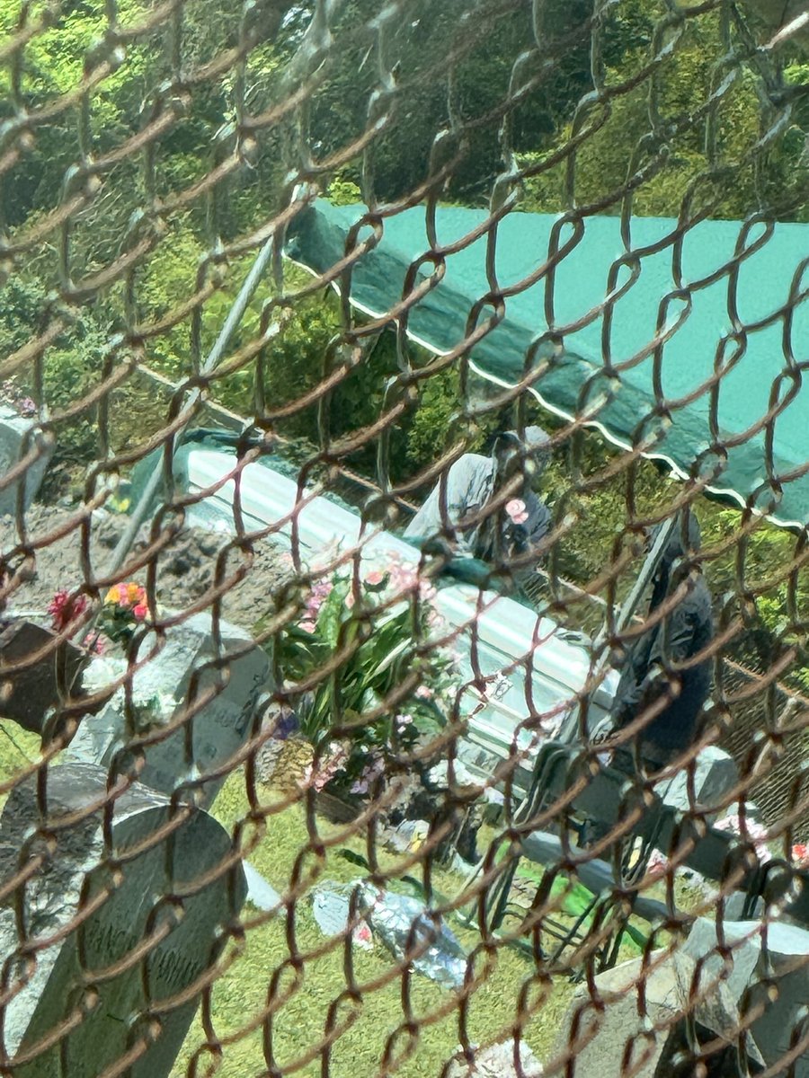 Dr Bartholomew tweet media