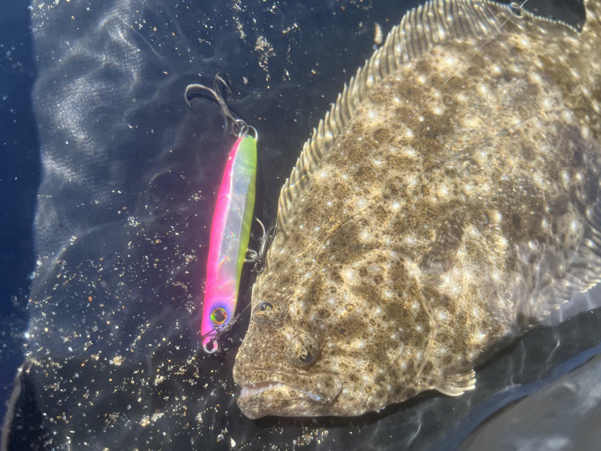 Esorafishing's tweet image. 皆さんご存知ないかもしれませんが、実は自分サーフ得意なんですよ

ネッサ スピンビーム 32g Ａバブルガムチャート／リプタス 80S ＳUVハデイワシ

#SHIMANO
#FORTHEFISHLOG
