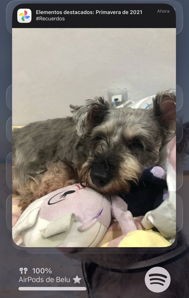 beanlem ꕤ𓅿 tweet media