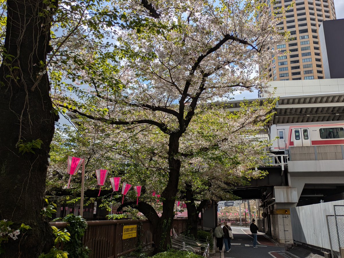 日テレ【気象・防災】そらジロー tweet media