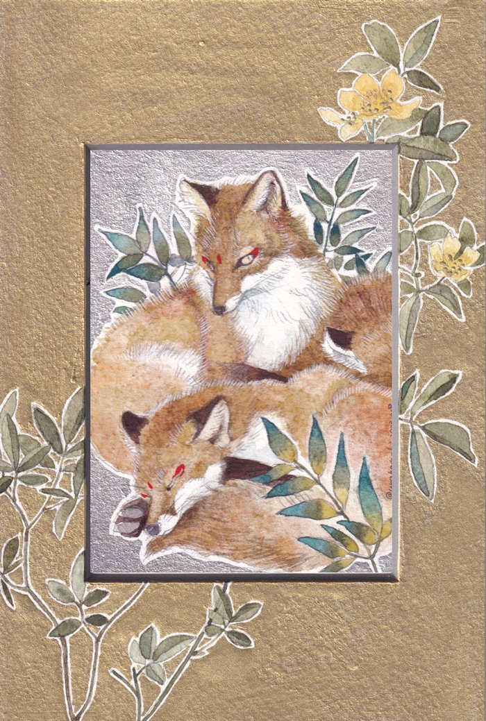 裏花火 tweet media