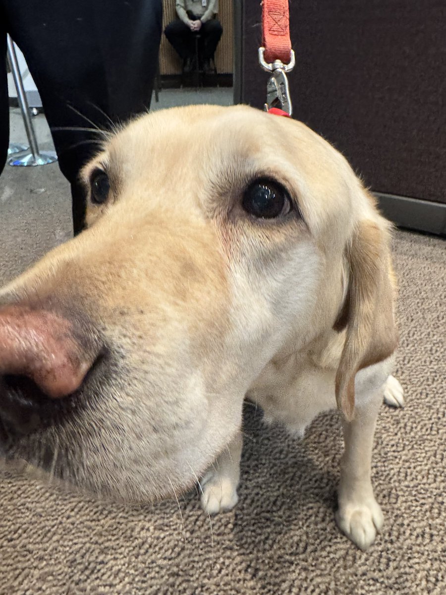 Phoenix Fire Dept. tweet media