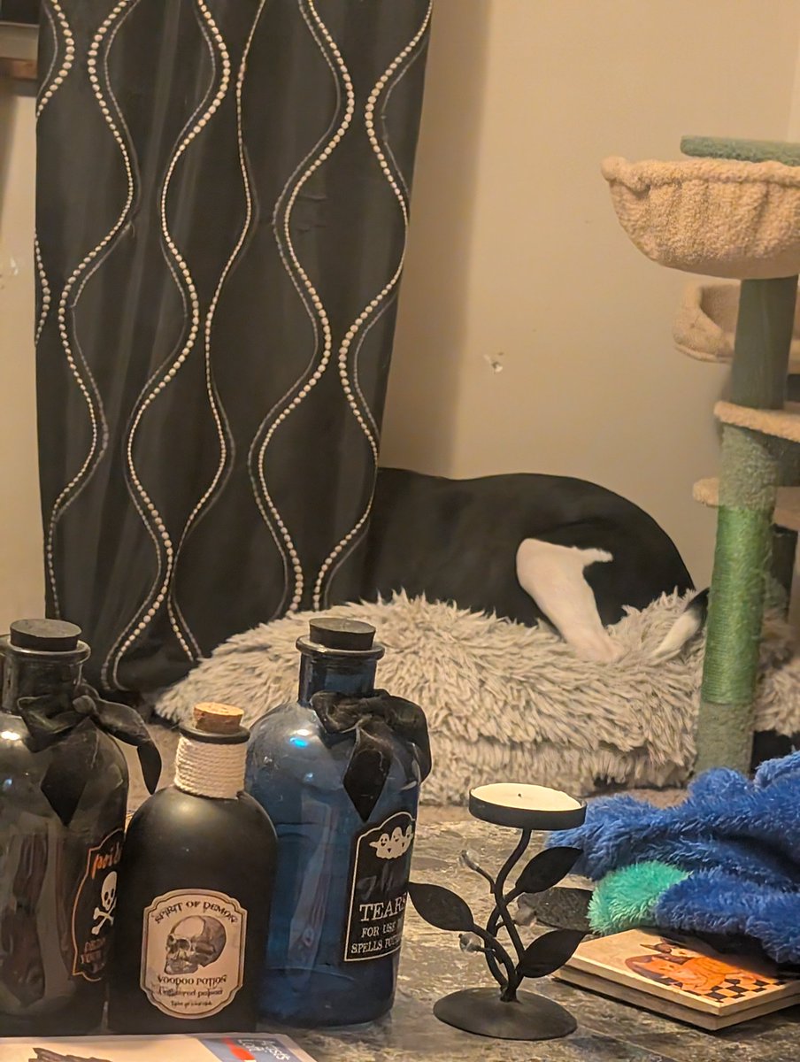 I can't see him now....