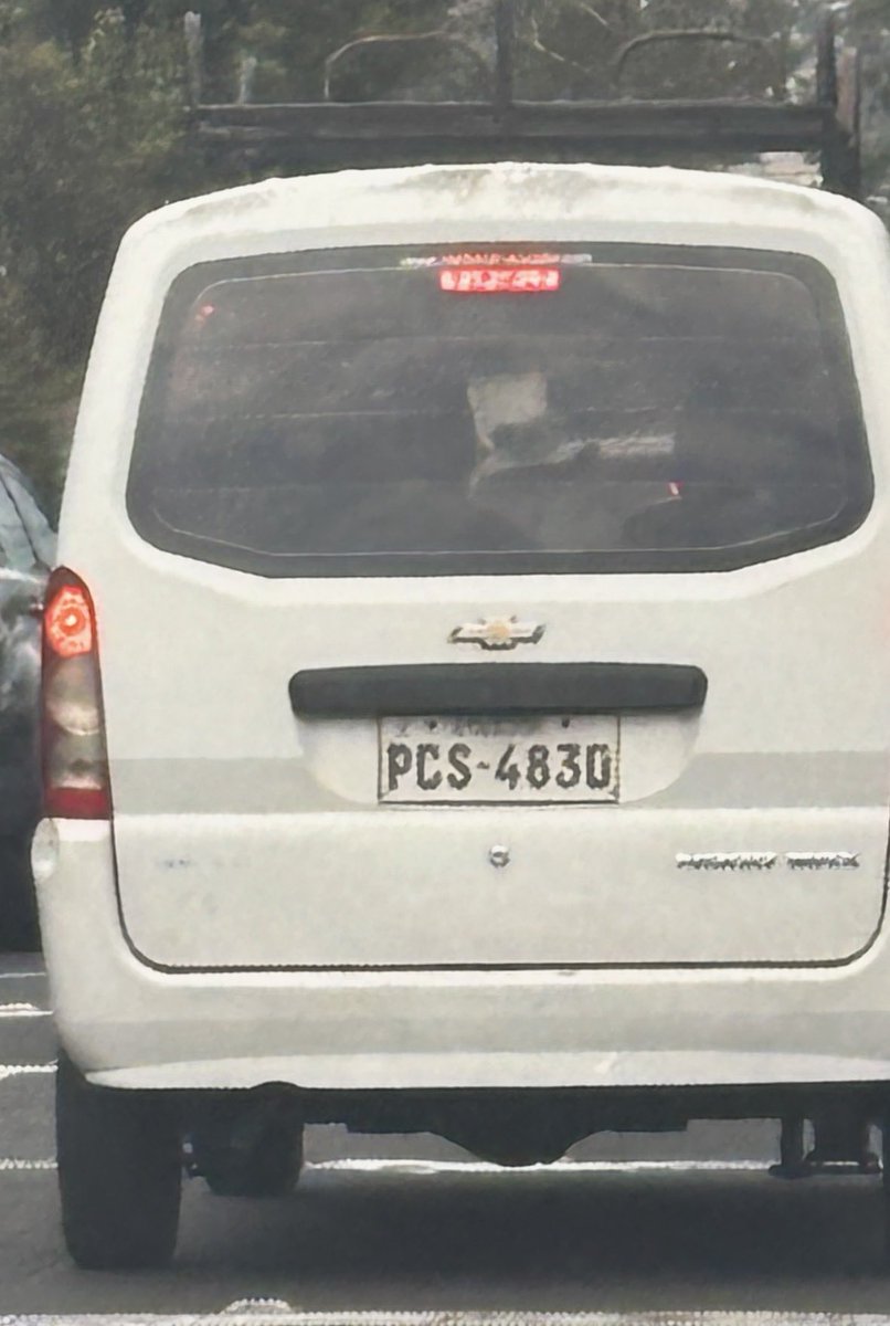 Julia PCobos tweet media