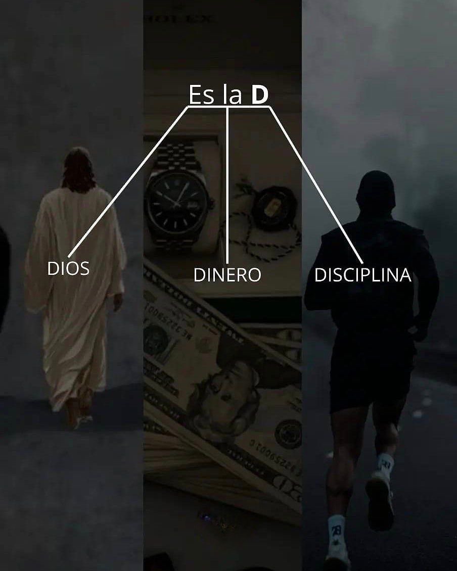 Disciplina tweet media