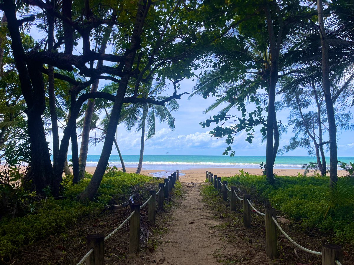 MagicAndPasta's tweet image. Does your morning include an

Iced Biscoff Latte? 😎🙌

#LoveWhereYouLive

#MissionBeach 🏖️ 

#FNQ