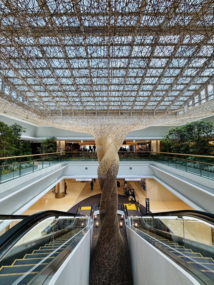 橋爪勇介 tweet media