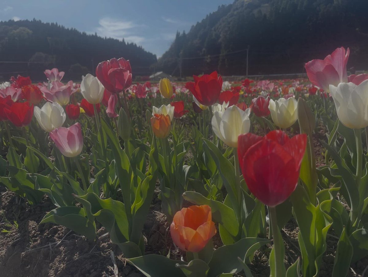 m 👁‍🗨🧸 tweet media