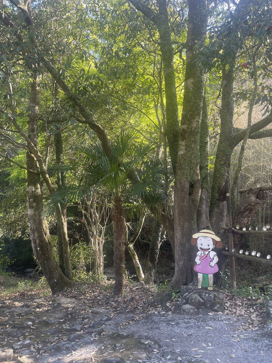 m 👁‍🗨🧸 tweet media