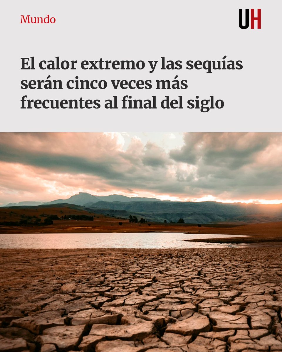 Última Hora tweet media