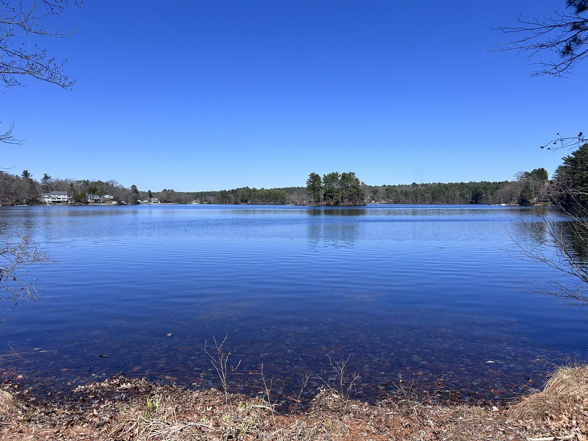 BirdAndGarden's tweet image. Wonderful #spring afternoon walk today. #exercise