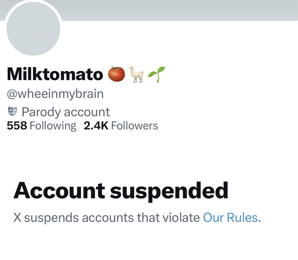 𝓷𝓴 🐈‍⬛🌱 tweet media