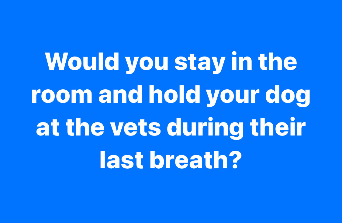 Gina💄🇺🇸 tweet media