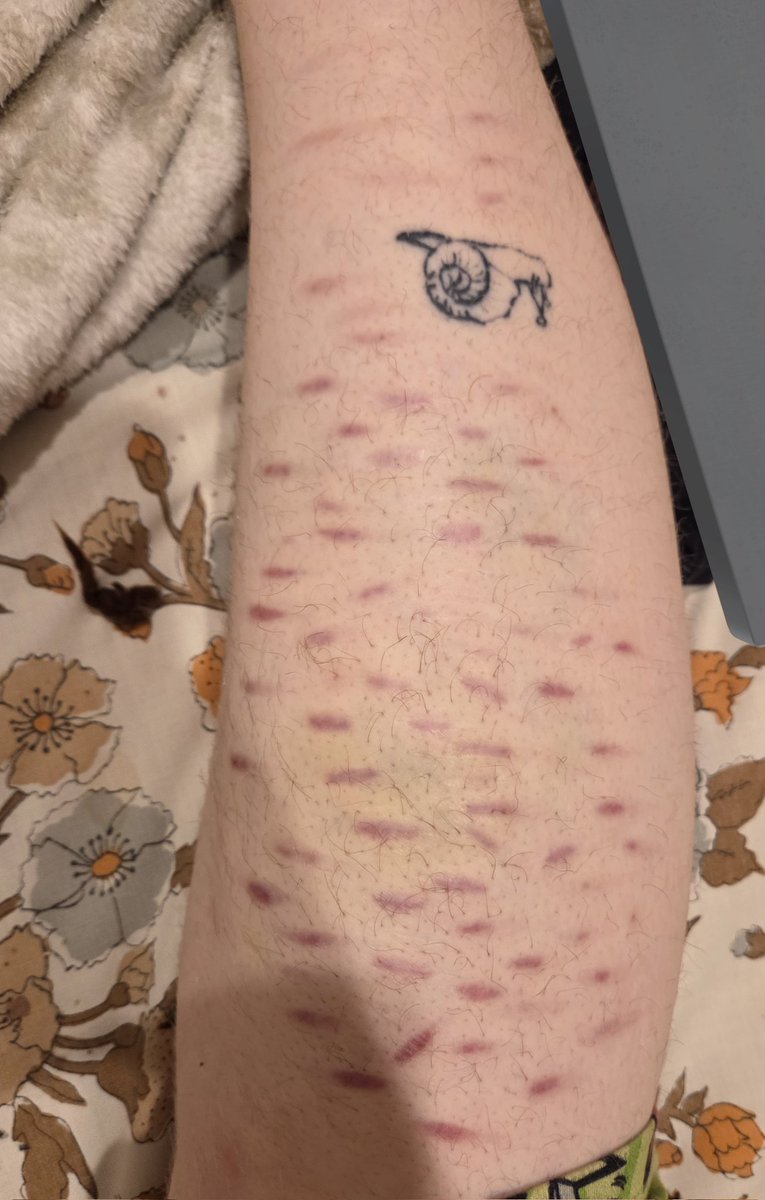 ☆𝔢𝔩𝔩𝔦𝔬𝔱☆ tweet media