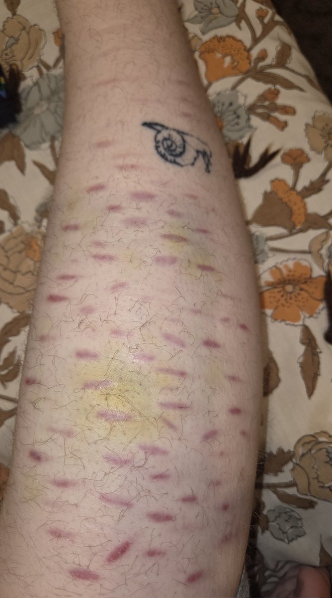 ☆𝔢𝔩𝔩𝔦𝔬𝔱☆ tweet media