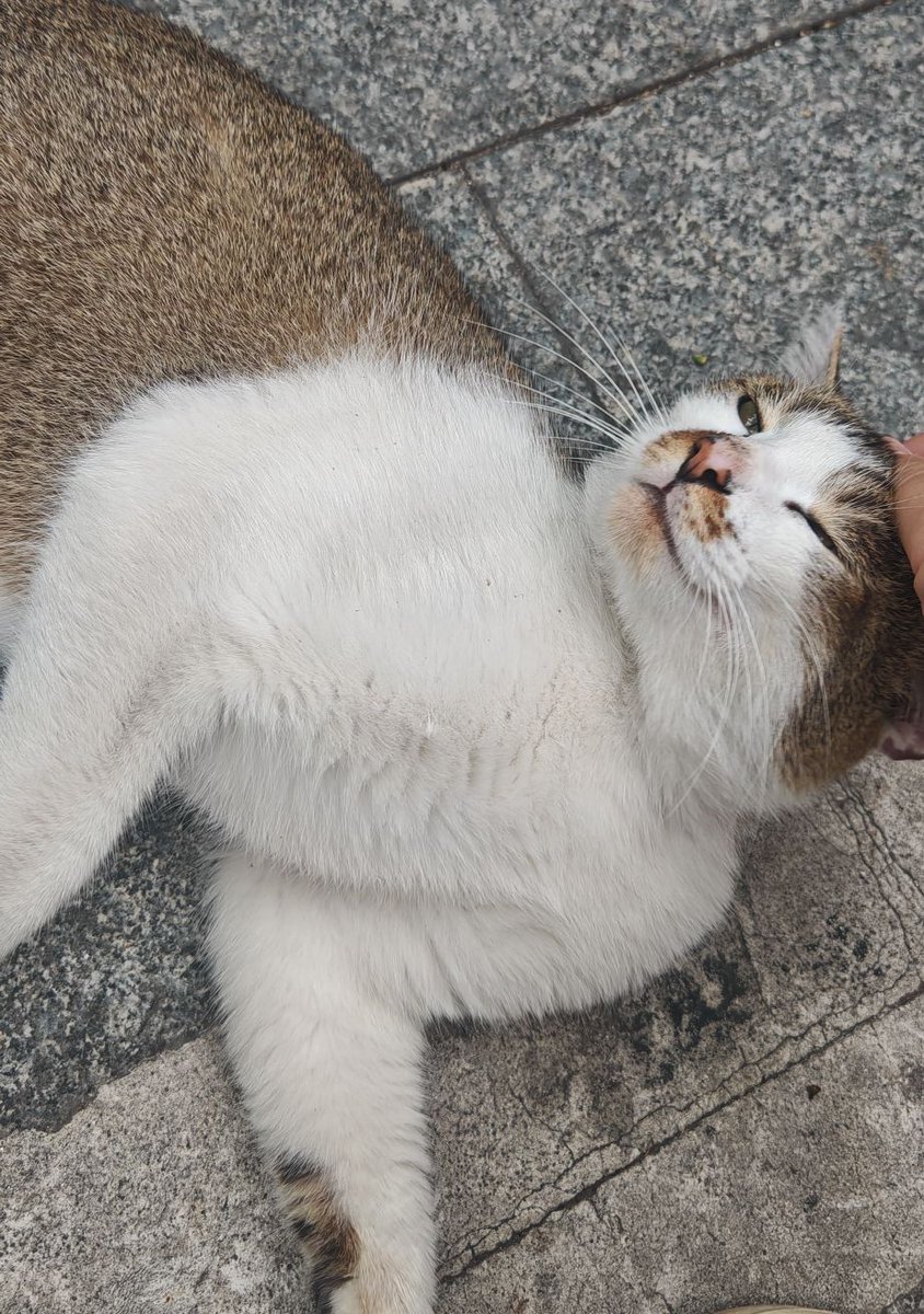 err_996 (@996err) on Twitter photo 