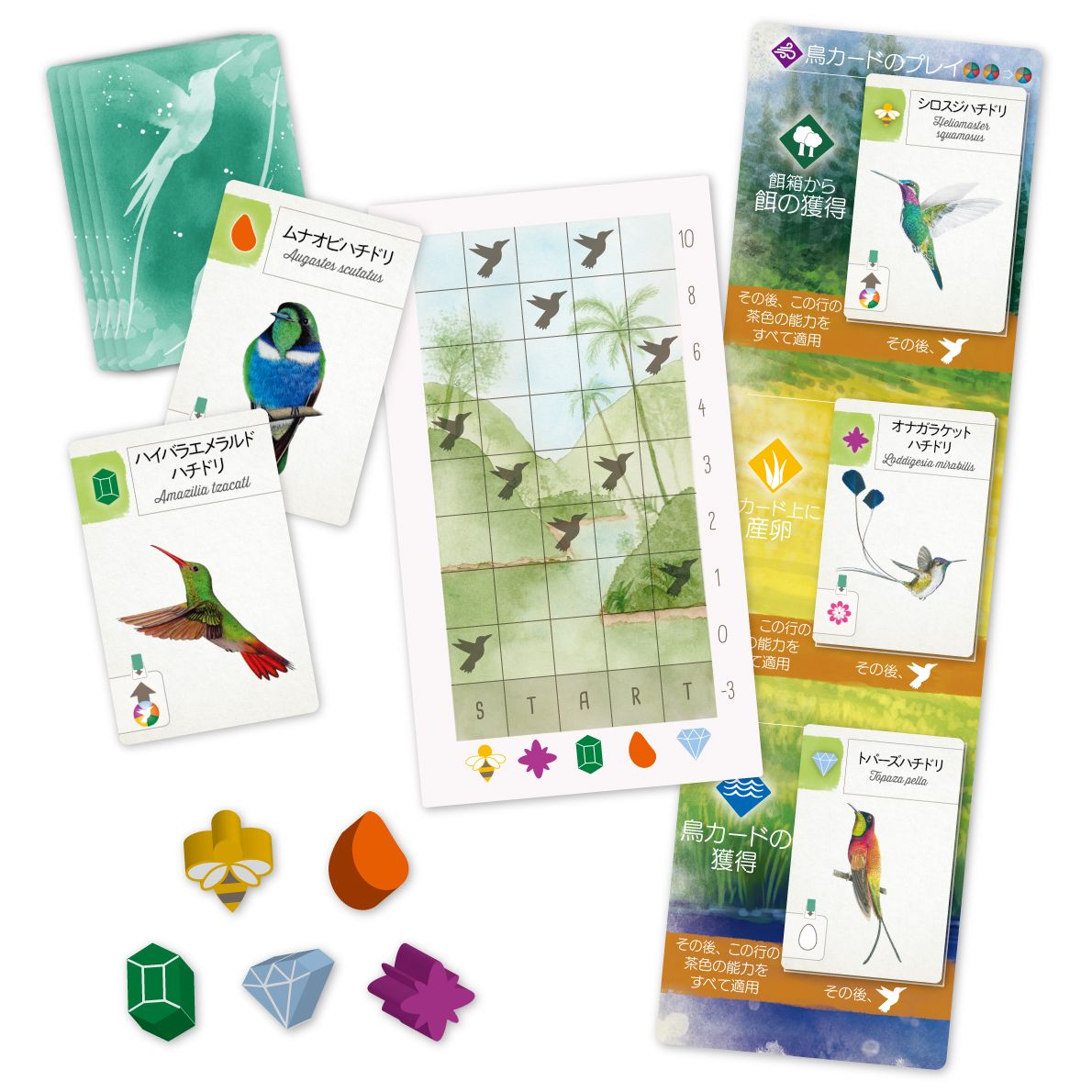 ArclightGames's tweet photo. 【新商品】『ウイングスパン』に、アマゾンやカリブ諸島など中南米に生息する鳥が仲間入り！鳥カード111枚の他、特別な40種のハチドリカードをうまく使いこなし、鳥類保護区をより豊かにしましょう。『ウイングスパン拡張：中南米の翼』は4月10日発売！
https://t.co/3icmoIdljF https://t.co/ZSylAwvU4X