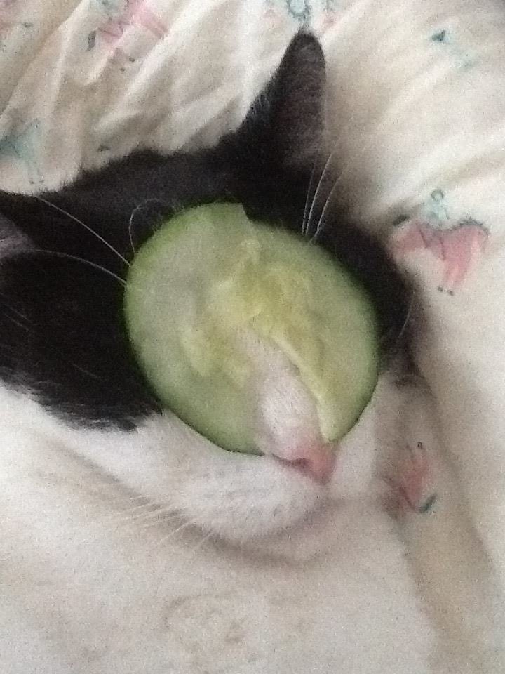 drew ⋆˚࿔ tweet media