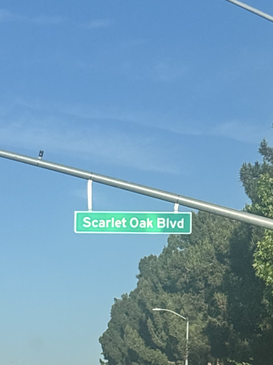 Katherine Sears tweet media