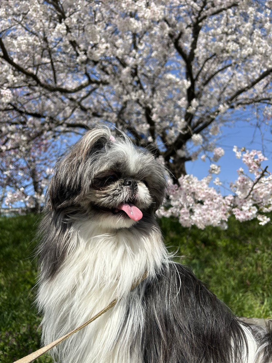 濡子 tweet media