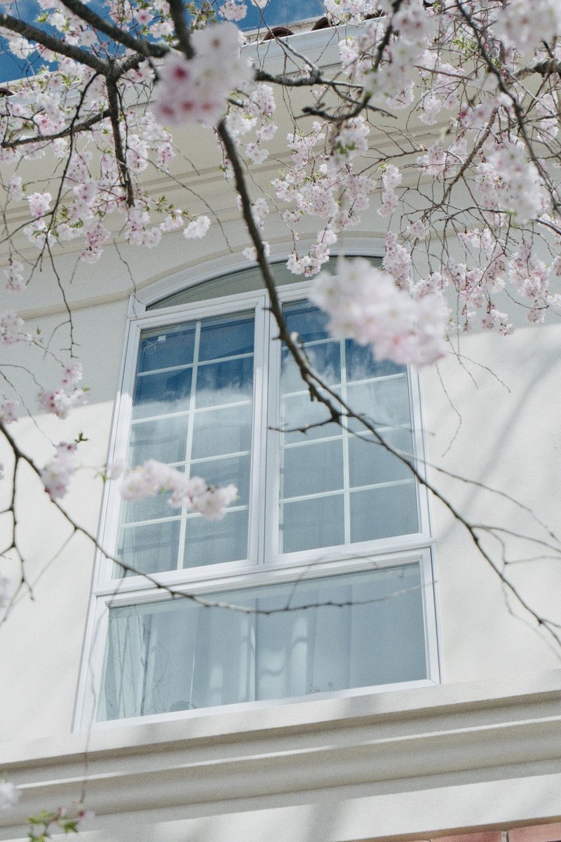 DarrenChen528's tweet image. Calling everyone on Earth

Show me what spring looks like from your corner of the world.
Drop yours below.

Aliens, if you’re scrolling tonight, you’re welcome to join too 🌸👽

#springaroundtheworld #globalphotography #springvibes
#花の写真 #春の色 #世界の春
#地球の季節