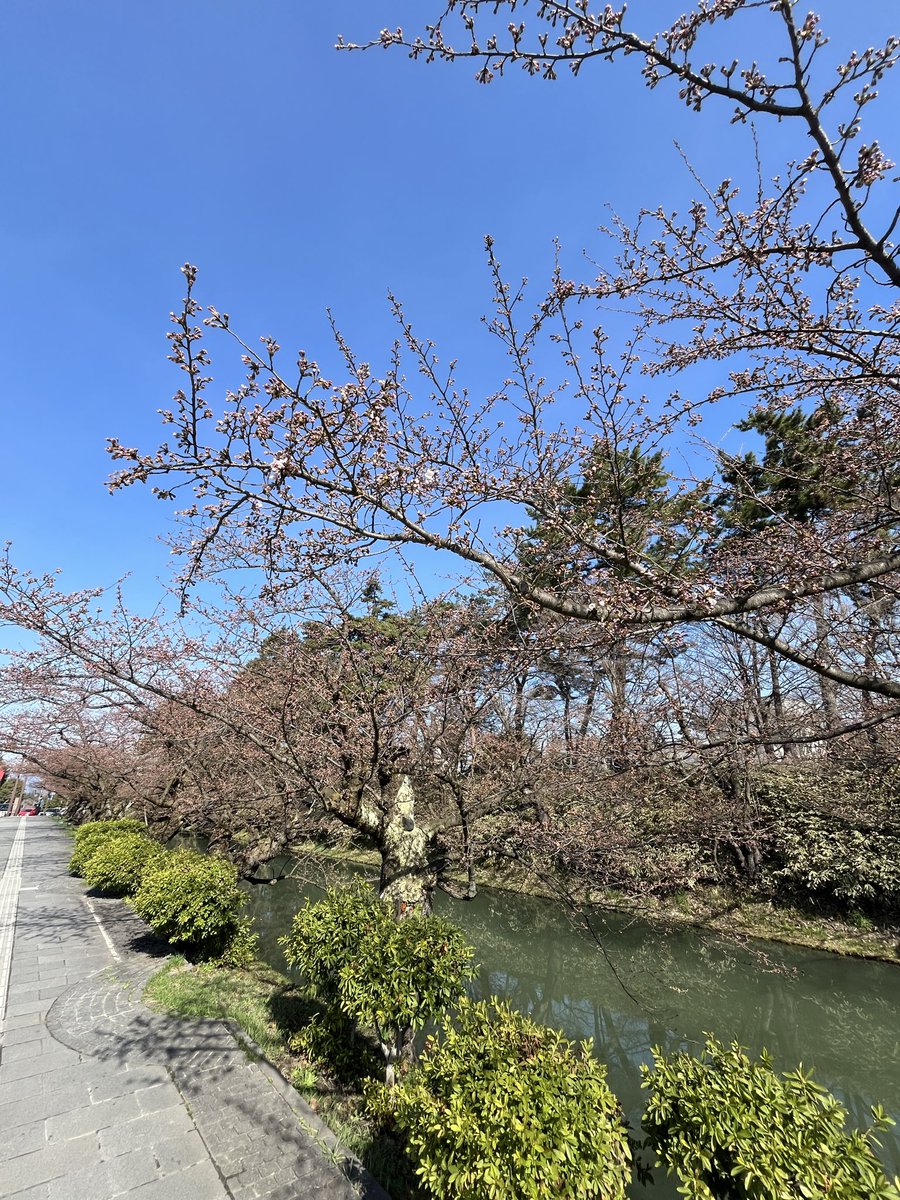 宮下宗一郎（青森県知事） tweet media