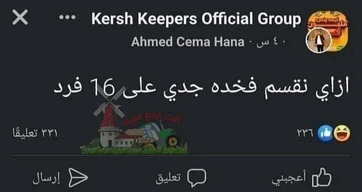 مــد(🇪🇬مـصـر🇪🇬)نــيــة tweet media