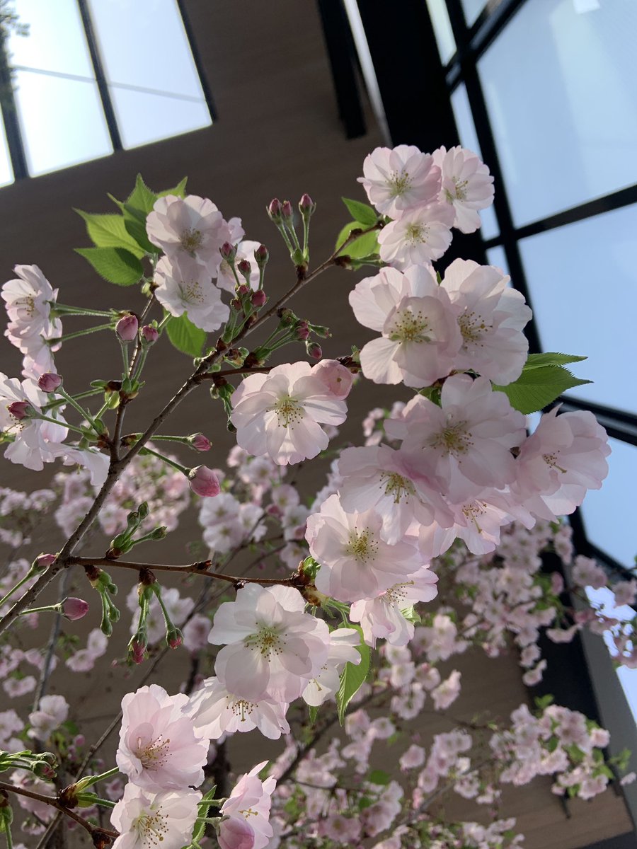 gamoyon Art labo tweet media