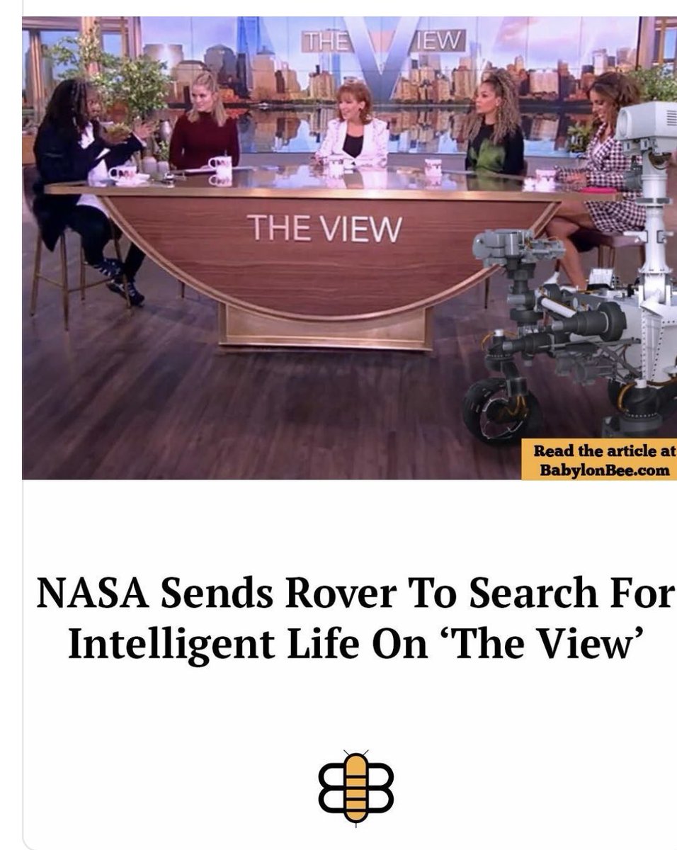 Blackbird (@blackbird66661) on Twitter photo 