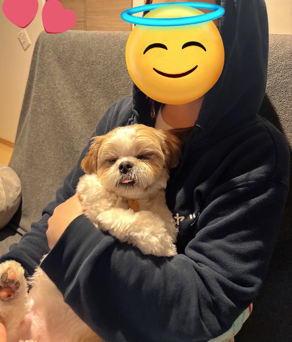 ねむむむむ、、🥱･°

#シーズー #犬好きさんと繋がりたい
